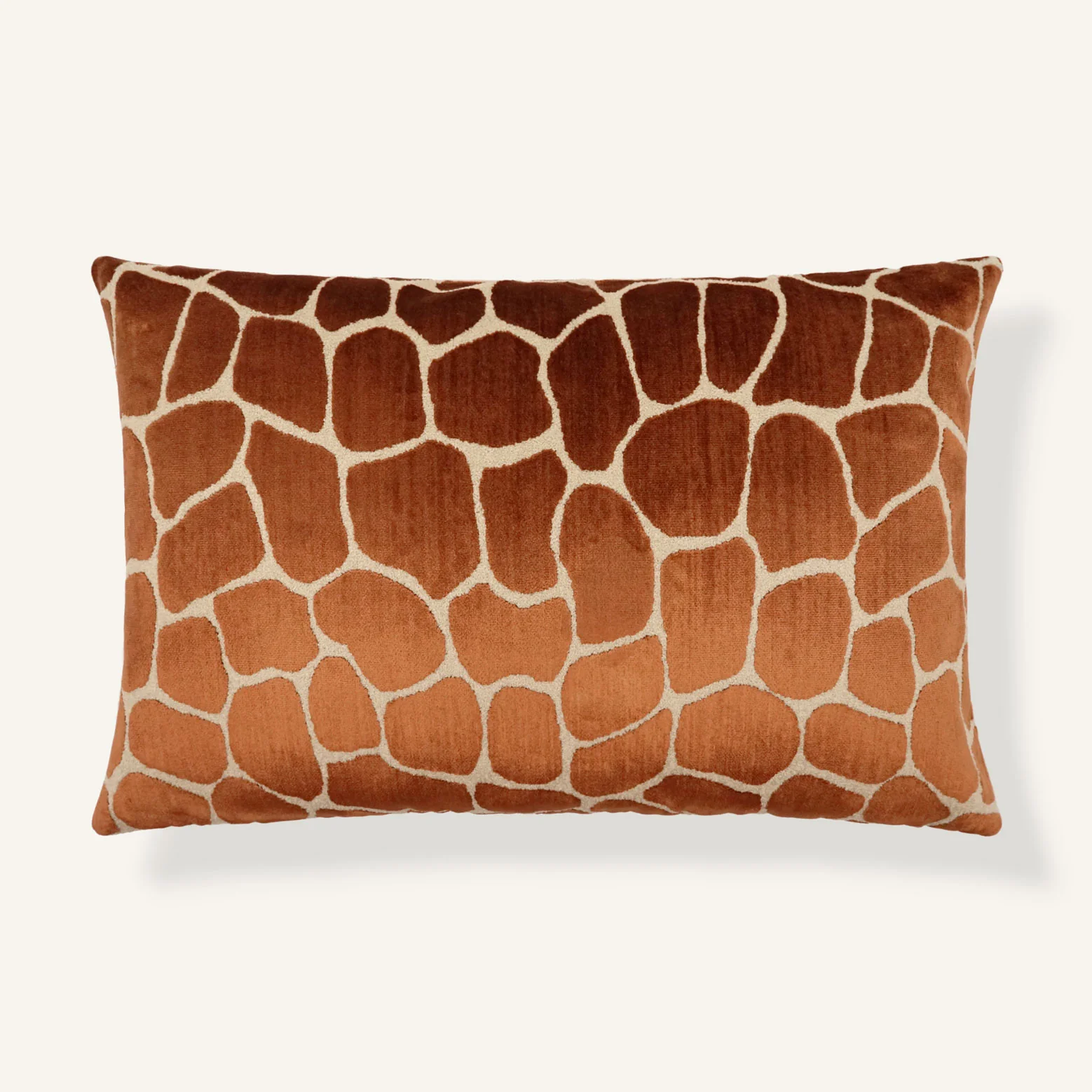 Giraffa / Bronze - Image 4